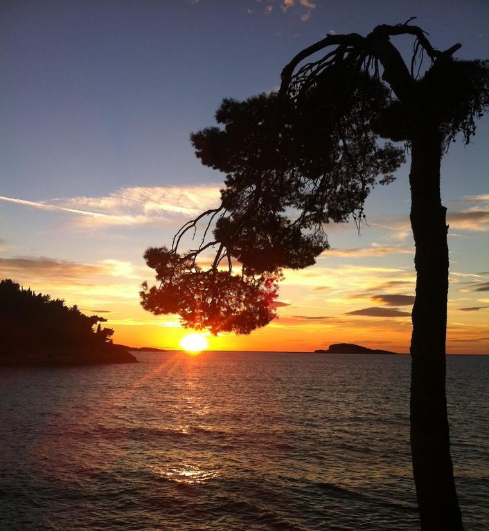 Epidaurum Apartments Cavtat Pokój zdjęcie